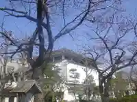 鶴岡八幡宮の自然