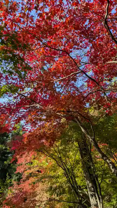北野天満宮(京都府)