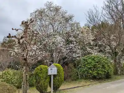 正法寺(京都府)