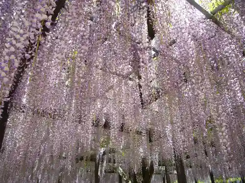 玉敷神社の庭園