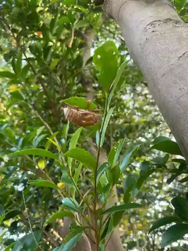 植田八幡神社(福島県)