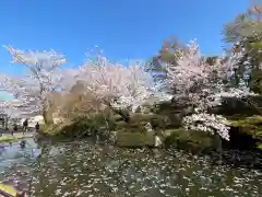 清水寺(京都府)