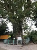 伊勢神明社のその他建物