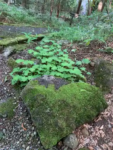那須温泉神社の自然