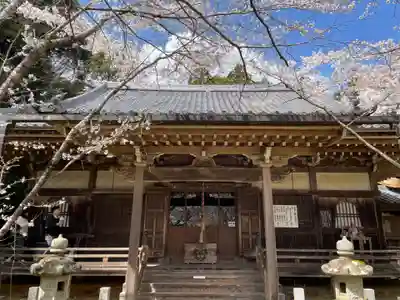 勝持寺（花の寺）(京都府)