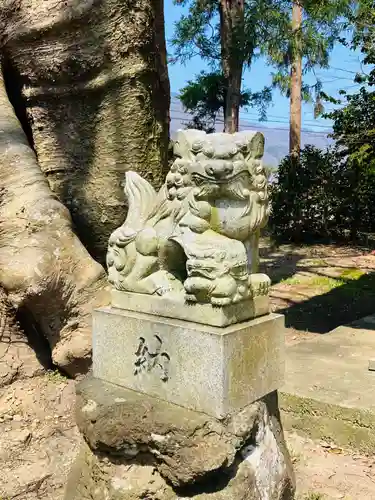 櫻井神社(新潟県)