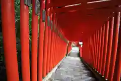 太皷谷稲成神社の鳥居