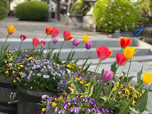 新橋浅間神社(静岡県)