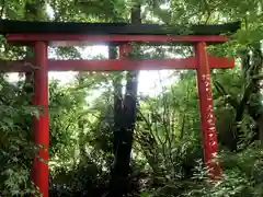 神徳稲荷神社の鳥居