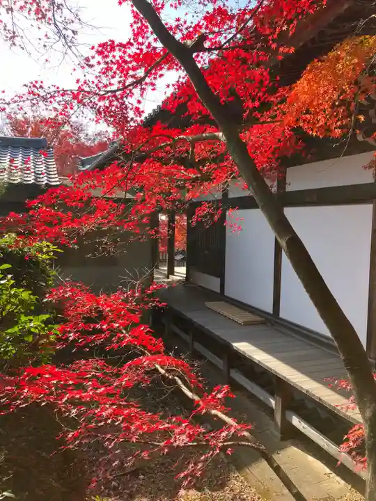 犬山寂光院の本殿・本堂