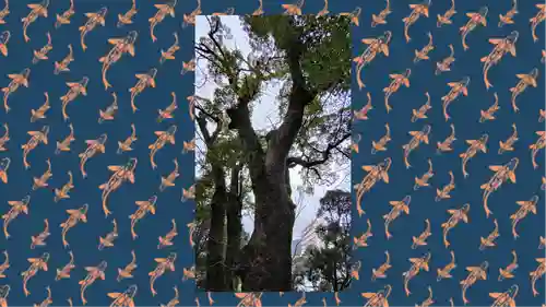 來宮神社(静岡県)