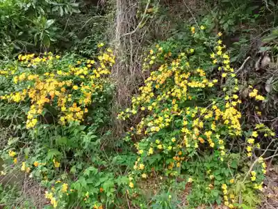 加波山三枝祇神社親宮拝殿(茨城県)