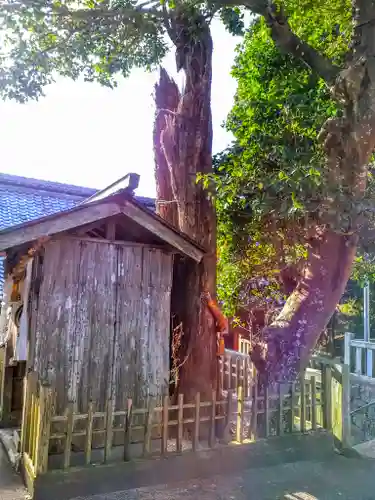 土御前神社の自然