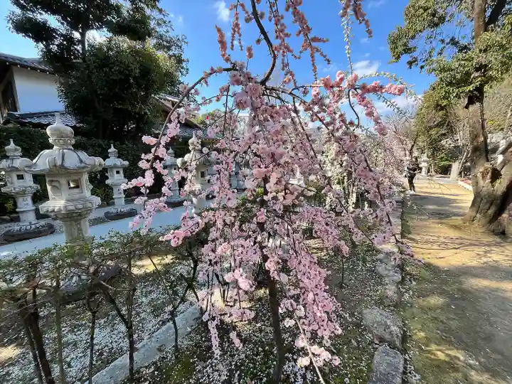 伊和志津神社(兵庫県)