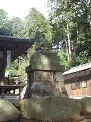 瀧樹神社の狛犬