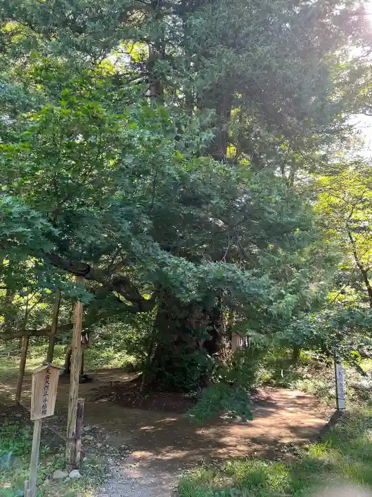 伊佐須美神社(福島県)