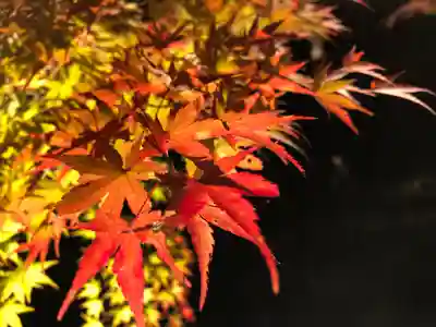 円通院(宮城県)