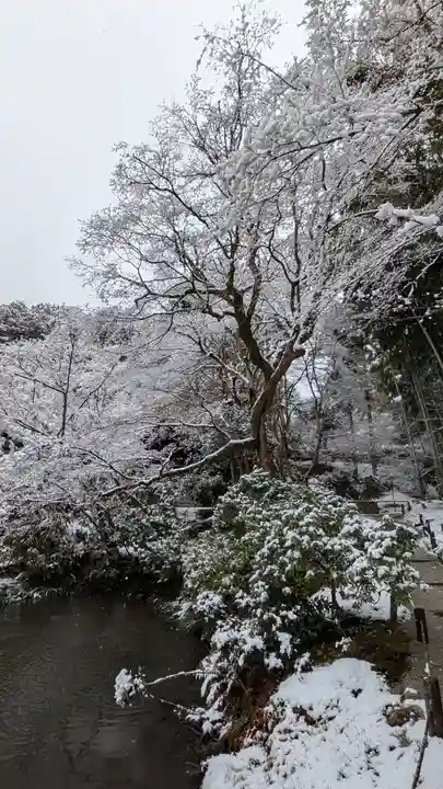 圓光寺(京都府)