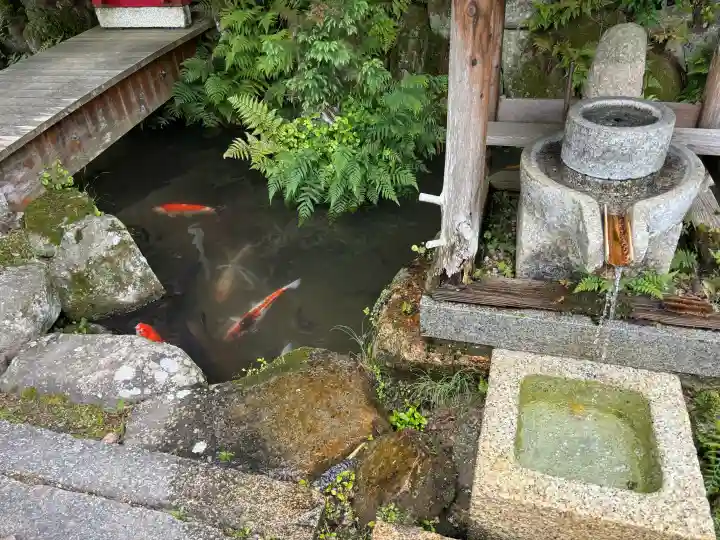 観音正寺の{uncategorized: "未分類", other: "その他", undefined: "問題あり", building: "その他建物", grave: "お墓", sacred_gate: "鳥居", guardian: "狛犬", statue: "像", buddha: "仏像", history: "歴史", nature: "自然", garden: "庭園", animal: "動物", pagoda: "塔", temizu: "手水舎", mountain_gate: "山門・神門", sanctuary: "本殿・本堂", subordinate: "末社・摂社", art: "芸術", scenery: "景色", jizo: "地蔵", ema: "絵馬", goshuin: "御朱印", omikuji: "おみくじ", items: "授与品その他", amulet: "お守り", goshuincho: "御朱印帳", eats: "食事", festival: "お祭り", votive_dance: "神楽", shichigosan: "七五三参", wedding: "結婚式", experience: "体験その他", initially: "初詣", around: "周辺", anti_infection: "感染症対策"}