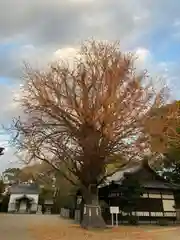 松原八幡神社の建物その他