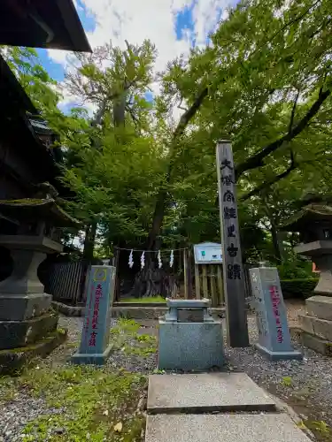 小室浅間神社(山梨県)