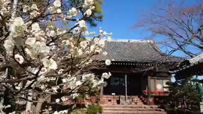 法輪寺の本殿・本堂