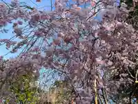 宗忠神社(京都府)