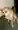 るんこ