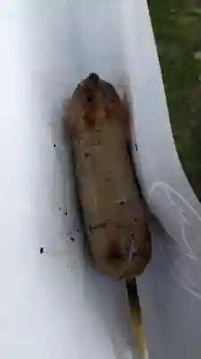 上川神社頓宮の食事