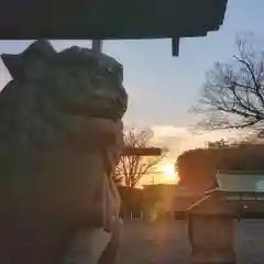 尾張大國霊神社（国府宮）の狛犬