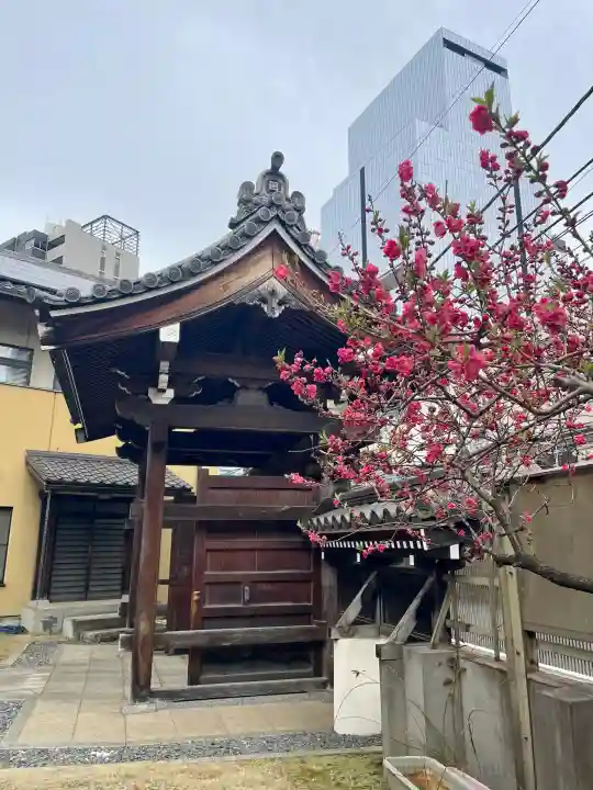圓珠寺の{uncategorized: "未分類", other: "その他", undefined: "問題あり", building: "その他建物", grave: "お墓", sacred_gate: "鳥居", guardian: "狛犬", statue: "像", buddha: "仏像", history: "歴史", nature: "自然", garden: "庭園", animal: "動物", pagoda: "塔", temizu: "手水舎", mountain_gate: "山門・神門", sanctuary: "本殿・本堂", subordinate: "末社・摂社", art: "芸術", scenery: "景色", jizo: "地蔵", ema: "絵馬", goshuin: "御朱印", omikuji: "おみくじ", items: "授与品その他", amulet: "お守り", goshuincho: "御朱印帳", eats: "食事", festival: "お祭り", votive_dance: "神楽", shichigosan: "七五三参", wedding: "結婚式", experience: "体験その他", initially: "初詣", around: "周辺", anti_infection: "感染症対策"}