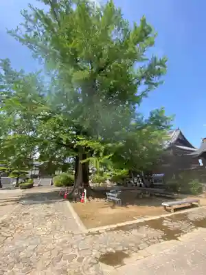 地蔵寺(徳島県)