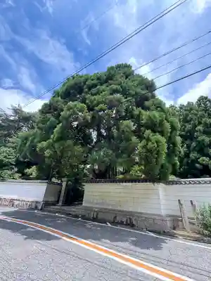 忉利天上寺のその他建物