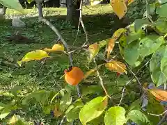 伊勢の国 四天王寺の庭園