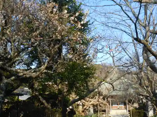 極楽寺（霊鷲山感應院極楽律寺）の景色