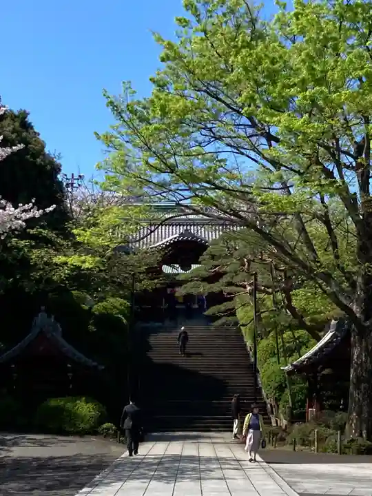 護国寺(東京都)