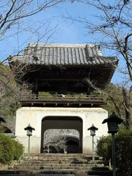 根来寺の{uncategorized: "未分類", other: "その他", undefined: "問題あり", building: "その他建物", grave: "お墓", sacred_gate: "鳥居", guardian: "狛犬", statue: "像", buddha: "仏像", history: "歴史", nature: "自然", garden: "庭園", animal: "動物", pagoda: "塔", temizu: "手水舎", mountain_gate: "山門・神門", sanctuary: "本殿・本堂", subordinate: "末社・摂社", art: "芸術", scenery: "景色", jizo: "地蔵", ema: "絵馬", goshuin: "御朱印", omikuji: "おみくじ", items: "授与品その他", amulet: "お守り", goshuincho: "御朱印帳", eats: "食事", festival: "お祭り", votive_dance: "神楽", shichigosan: "七五三参", wedding: "結婚式", experience: "体験その他", initially: "初詣", around: "周辺", anti_infection: "感染症対策"}