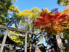 七所神社の鳥居