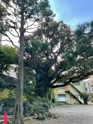 実相寺(東京都)
