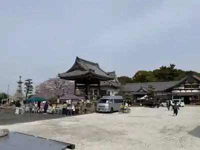 正眼寺(愛知県)