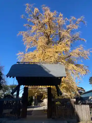 妙延寺(東京都)