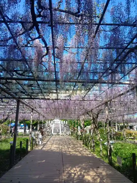 曼陀羅寺(愛知県)