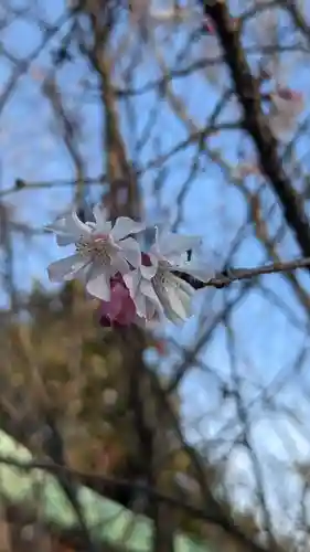 地蔵寺(愛知県)