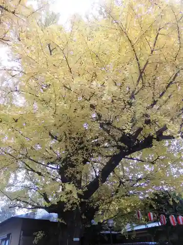森巌寺(東京都)