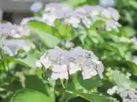 千住神社(東京都)