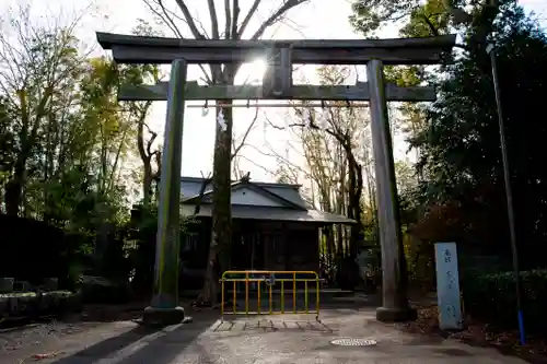 阿蘇神社の鳥居