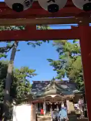 天沼八幡神社の本殿