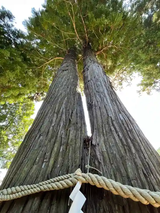 高司神社〜むすびの神の鎮まる社〜の自然