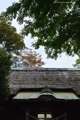 髙部屋神社(神奈川県)