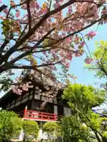 正延寺(千葉県)